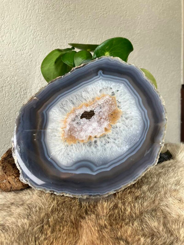 Agaat schijf nr 3