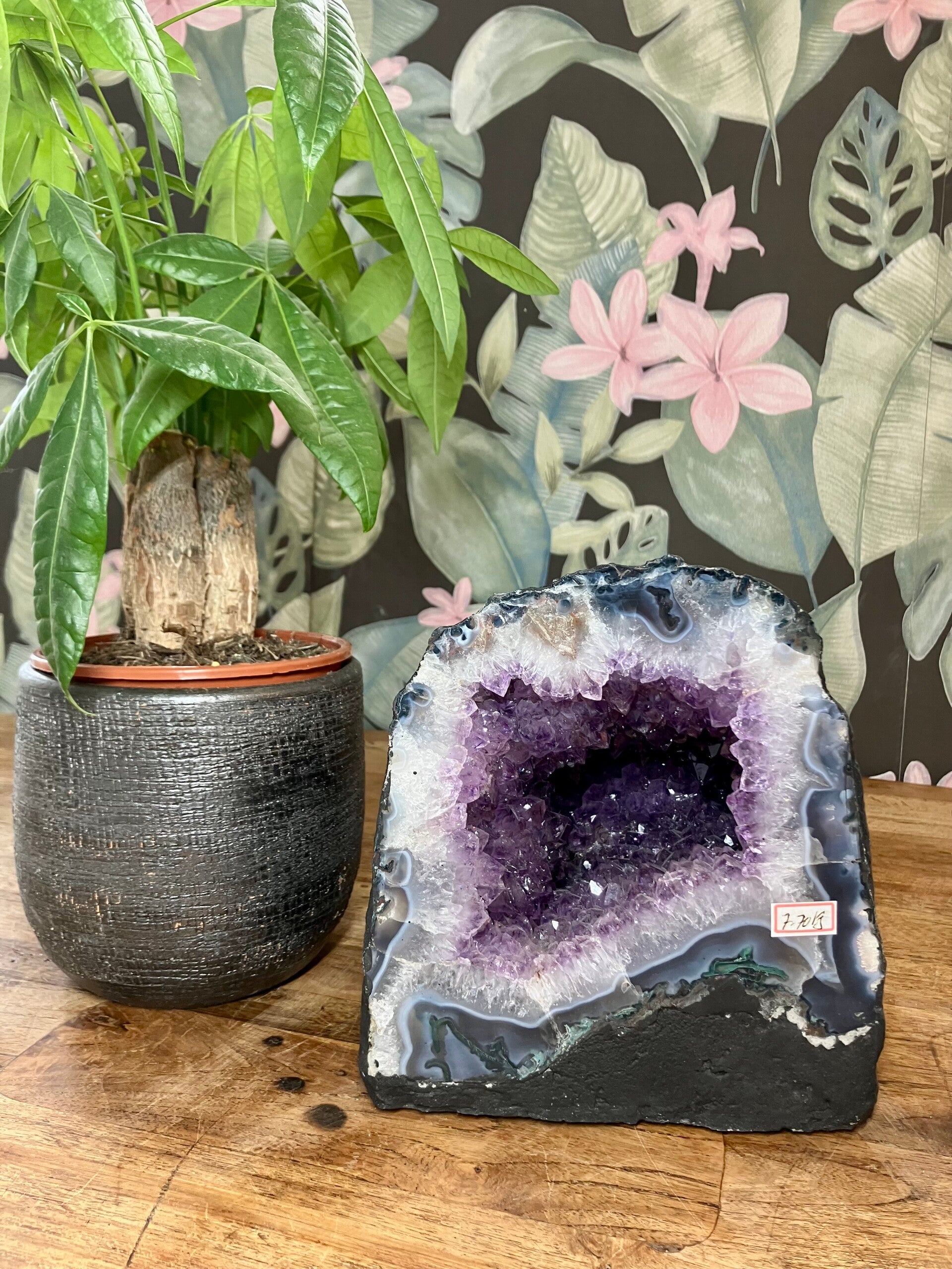 Amethist Geode van 7,7 kilo