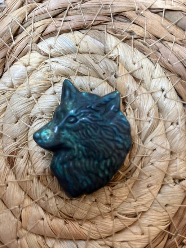Labradoriet wolf 1