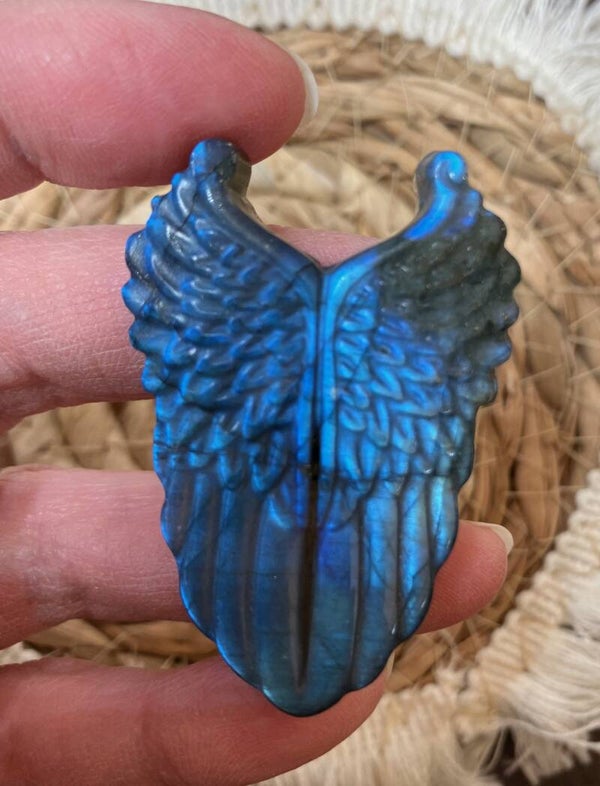 Labradoriet vleugels