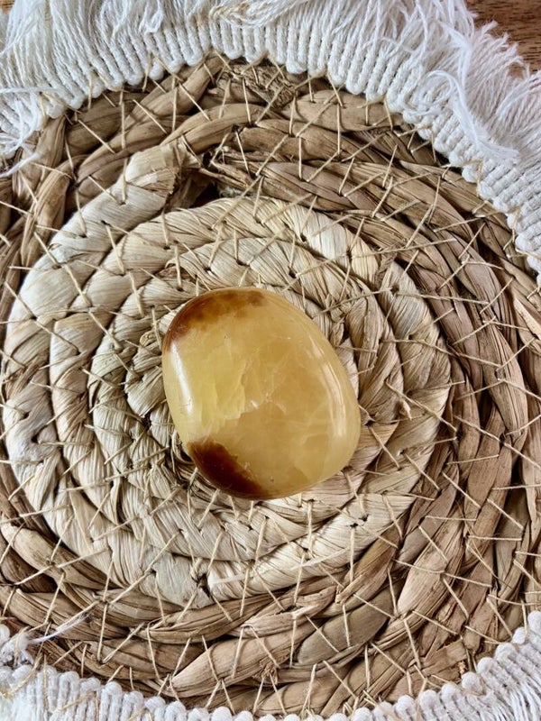 Septarie