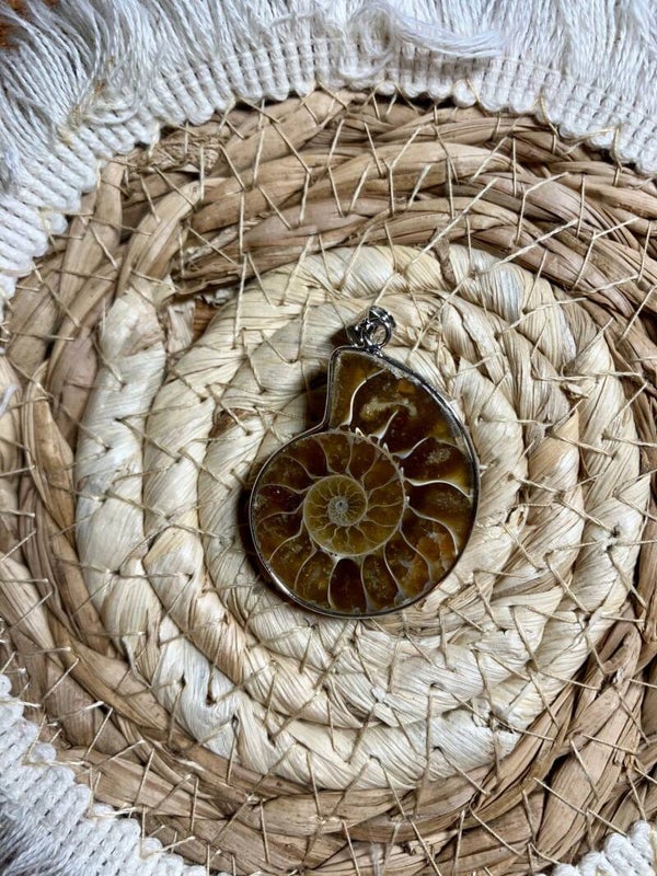 Ammoniet hanger