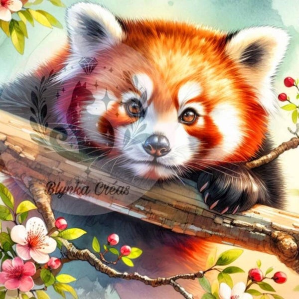 L’Harmonie du Panda Roux de Lum'ia