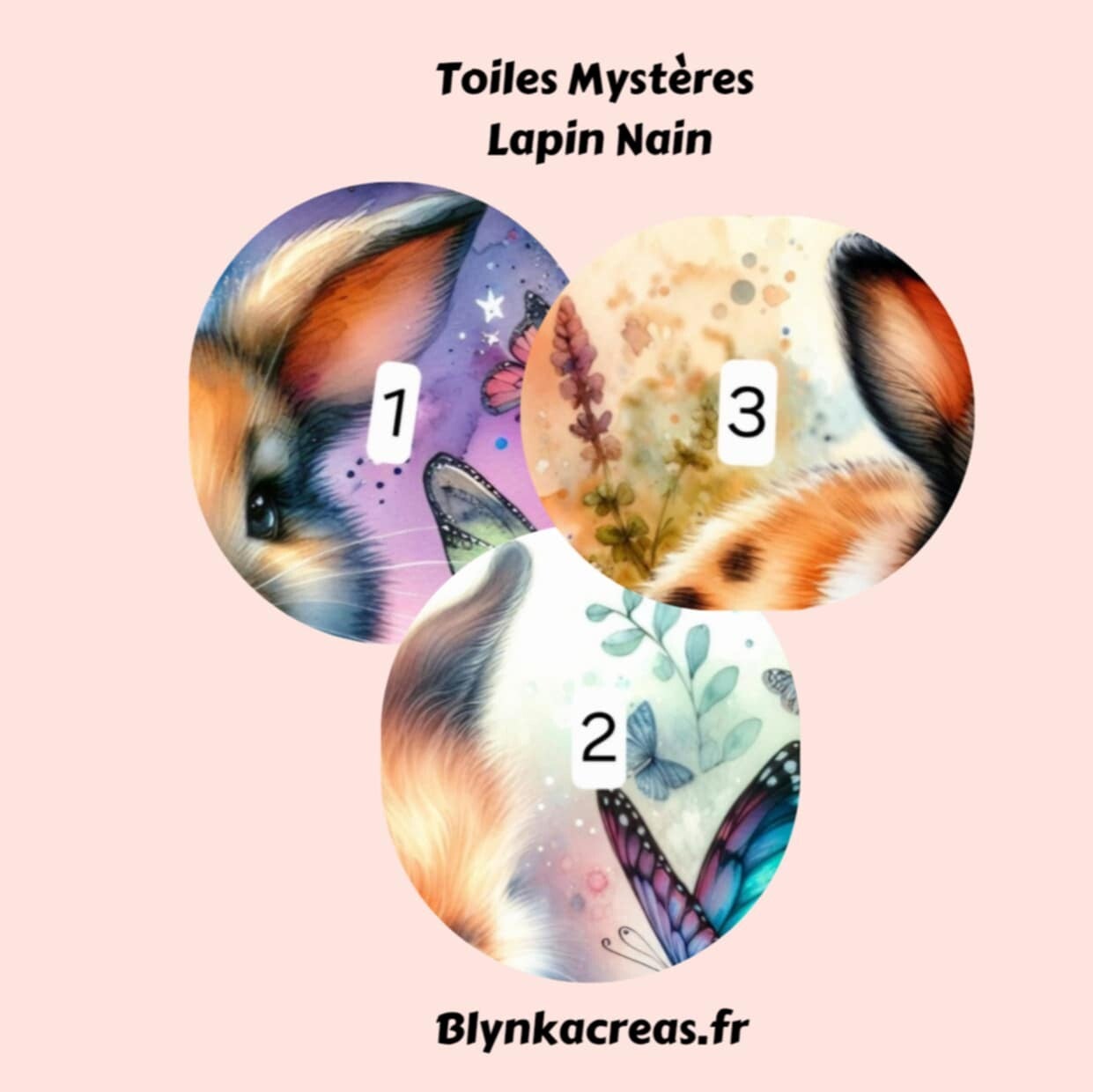 Toiles Mystères : Lapin Nain