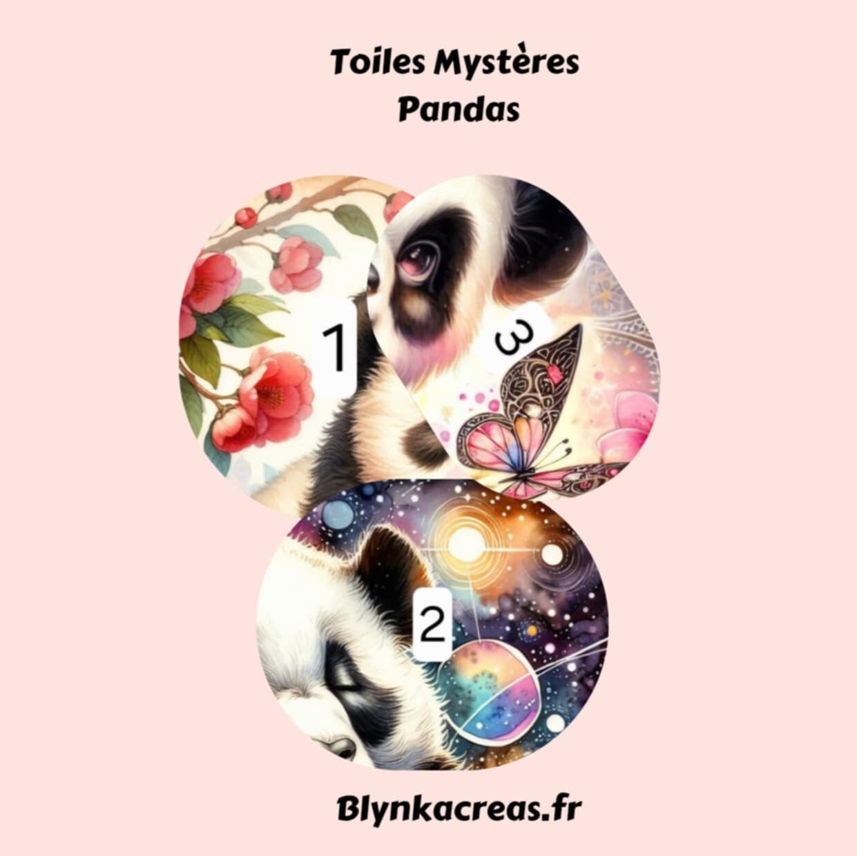 Toiles Mystères : Panda