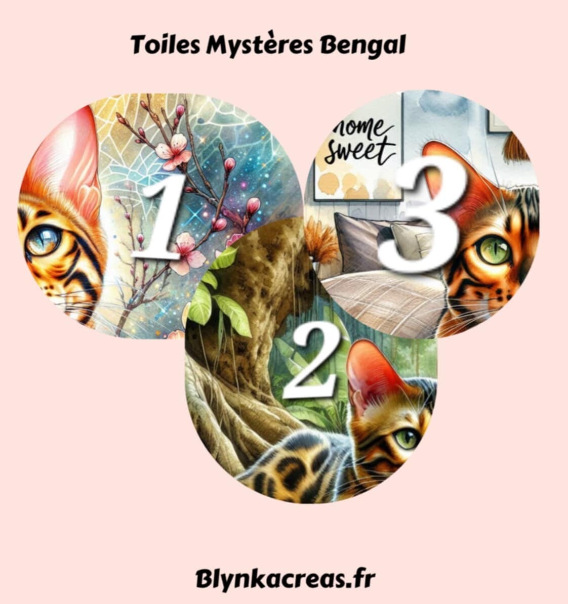 Toiles Mystère Chats Bengal