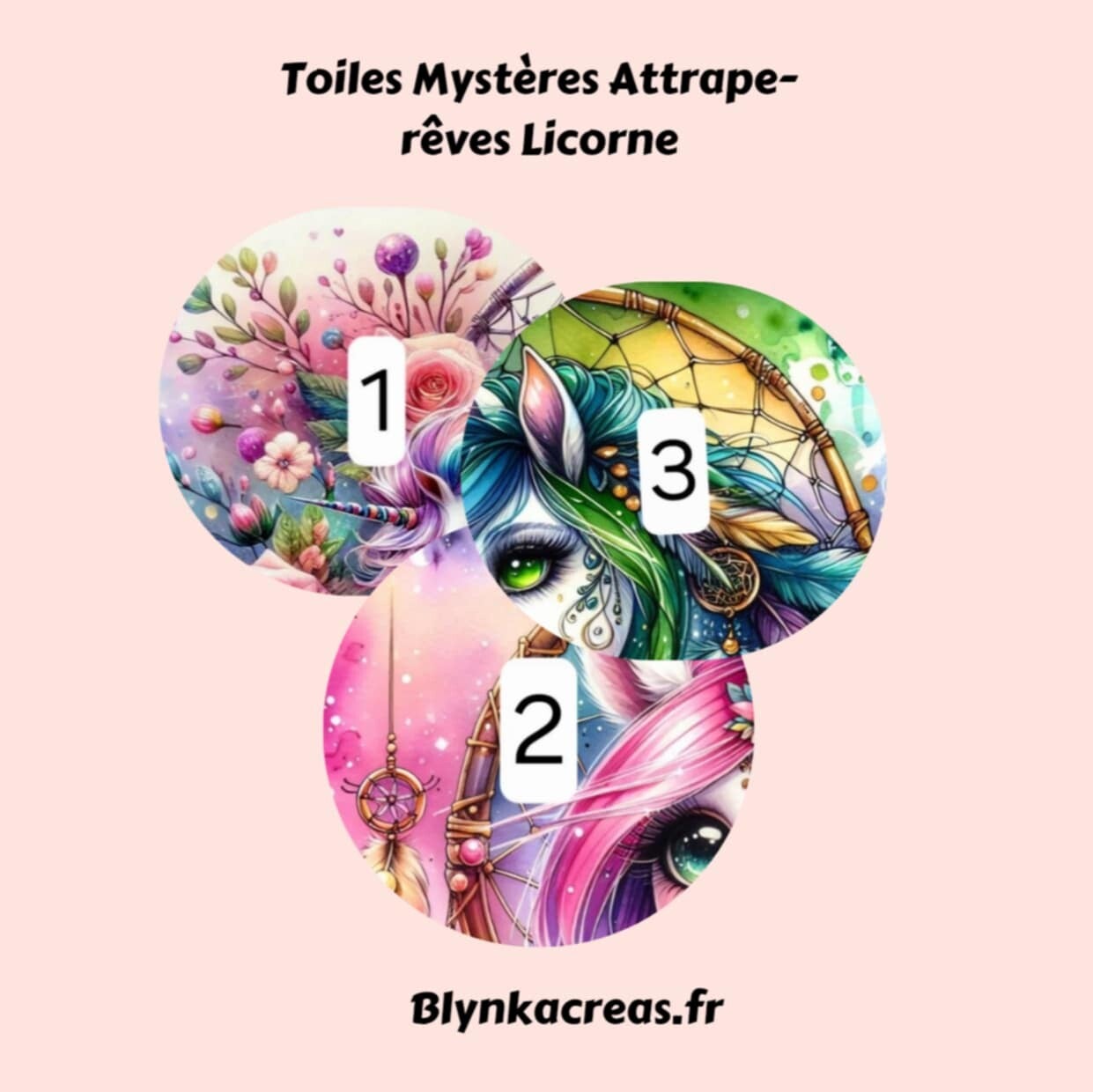 Toiles Mystères : Attrape-Rêves Licornes
