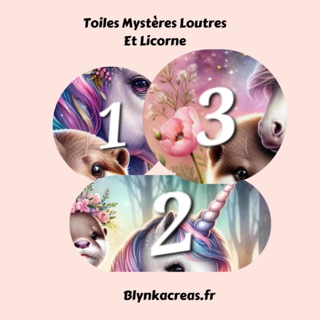 Toiles Mystères : Loutres et Licornes