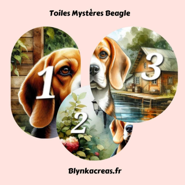 Toiles Mystère Beagle 🐾