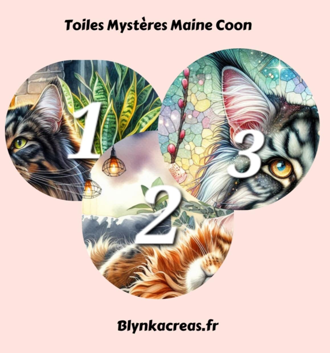 Toiles Mystère Maine Coon