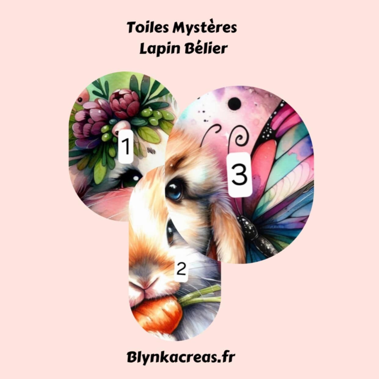 Toiles Mystères : Lapin Bélier