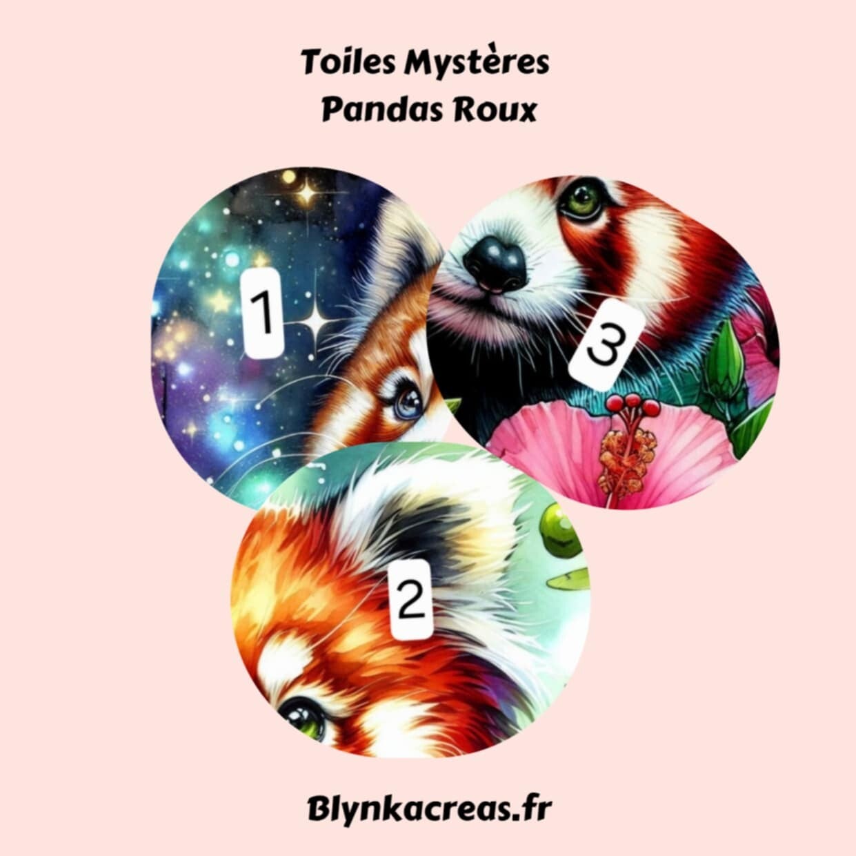 Toiles Mystères : Panda Roux