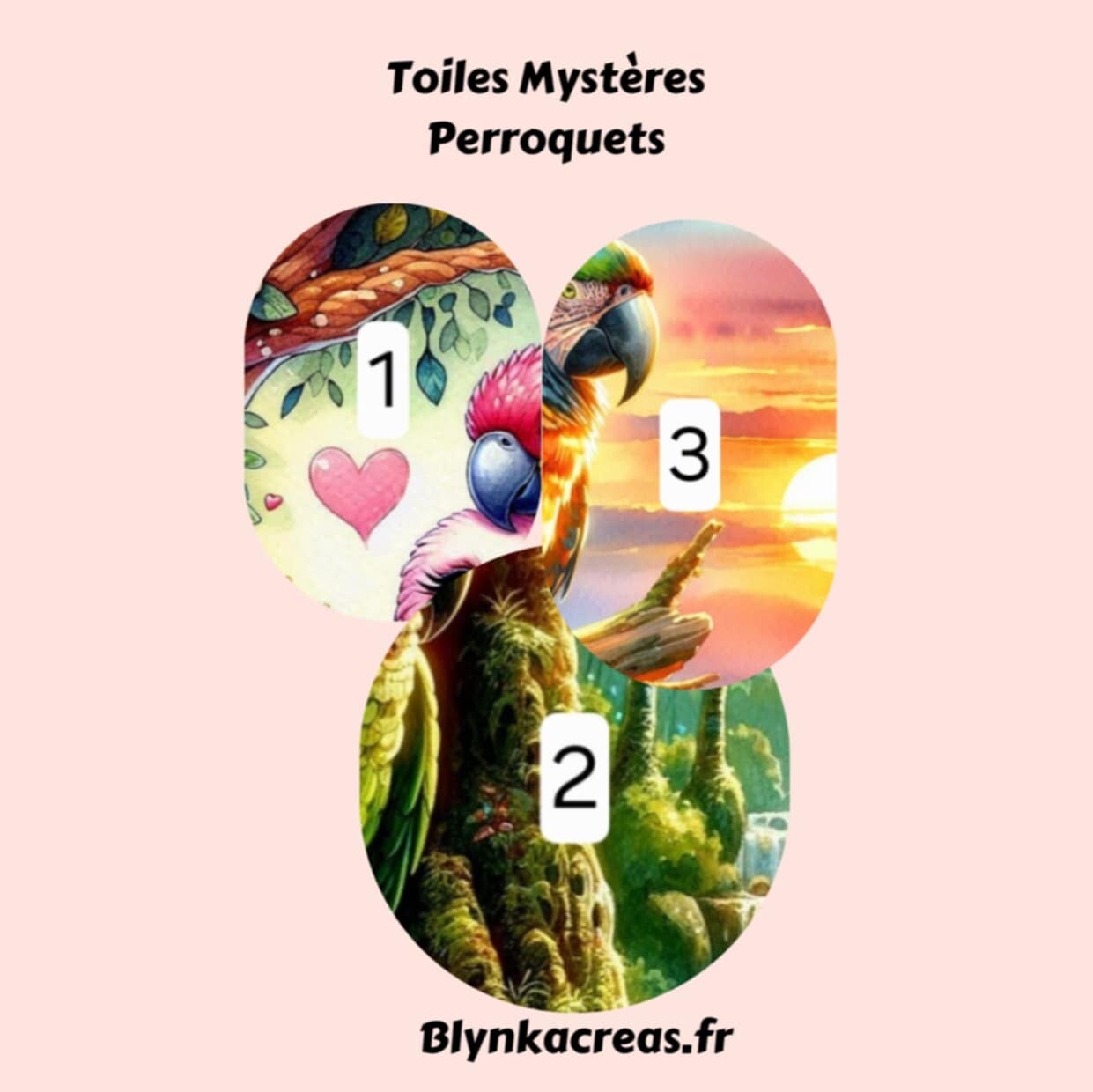 Toiles Mystères : Perroquets