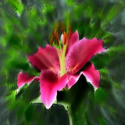 d85_0715-standard.jpg