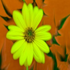 d85_0959-standard.jpg