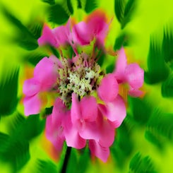 d85_1074-standard.jpg