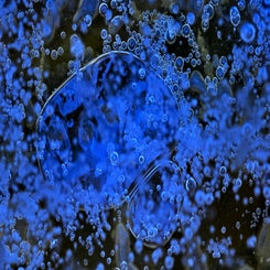 dsc_7824-standard-ewjzp3.jpg