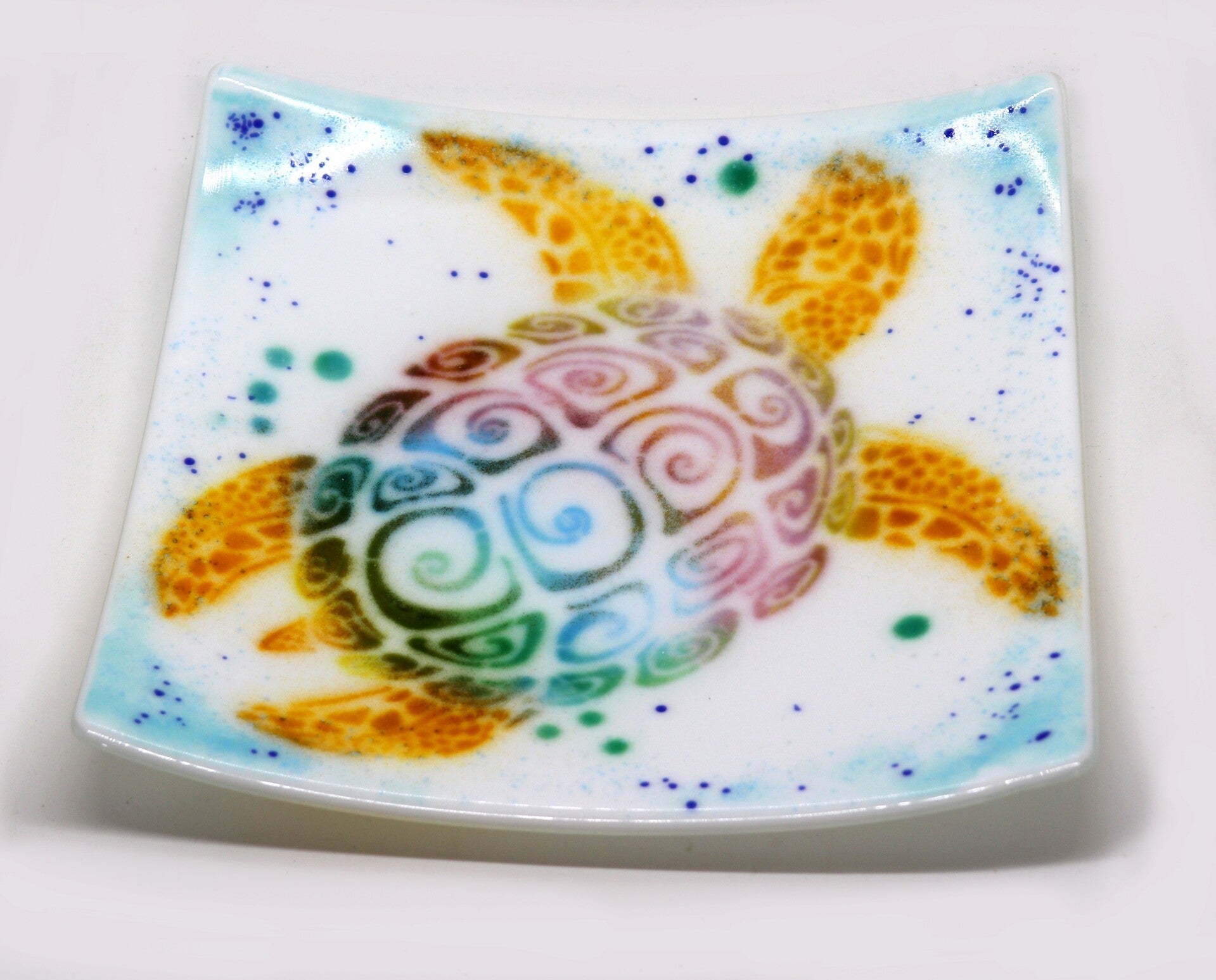 Rainbow Turtle