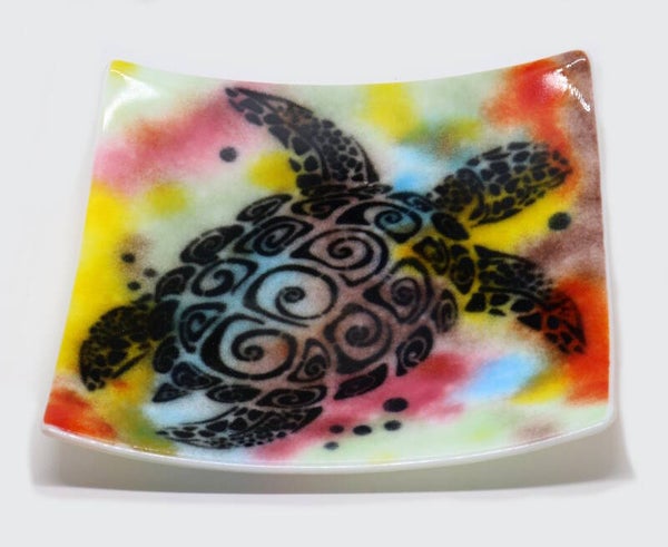 Rainbow Turtle at night