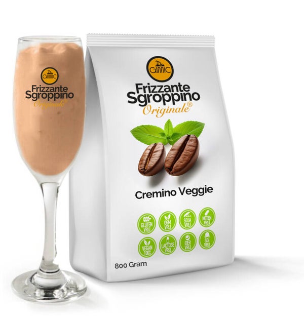Frizzante Cremino veggie ijskoffie mix zak á 800g