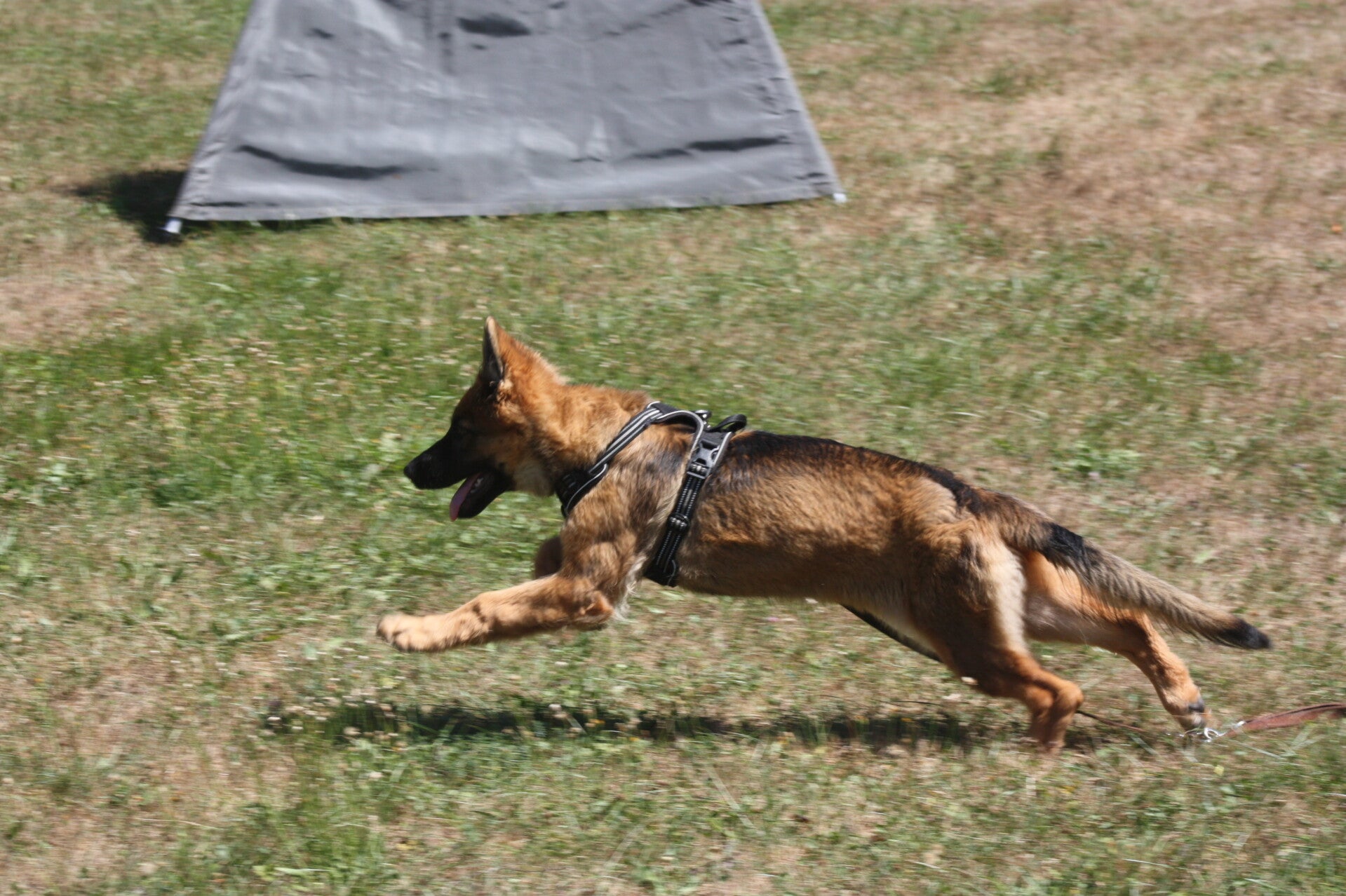 img_7497-standard.jpg