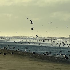06c7699d-2813-4f57-a9a4-9cc2792e7470.jpeg