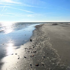 #terschelling #zand #zon #zee #duin #drenkelingenhuisje #amelandergat #ameland #vuurtoren #brandaris #4x4 #drijfzand #strandrijden #barnsteen #vogelskijken #eb #vloed #sterrenkijken #melkweg #zonsopgang #zonsondergang #foto’s #noorderlicht #aurora #vliela