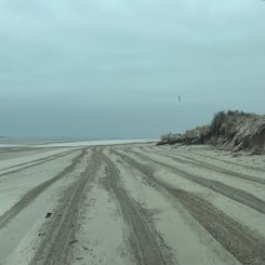 #terschelling #zand #zon #zee #duin #drenkelingenhuisje #amelandergat #ameland #vuurtoren #brandaris #4x4 #drijfzand #strandrijden #barnsteen #vogelskijken #eb #vloed #sterrenkijken #melkweg #zonsopgang #zonsondergang #foto’s #noorderlicht