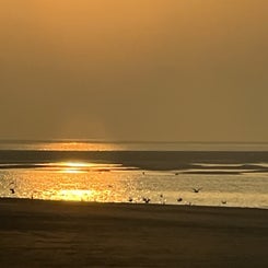 #terschelling #zand #zon #zee #duin #drenkelingenhuisje #amelandergat #ameland #vuurtoren #brandaris #4x4 #drijfzand #strandrijden #barnsteen #vogelskijken #eb #vloed #sterrenkijken #melkweg #zonsopgang #zonsondergang #foto’s #noorderlicht #aurora #vliela