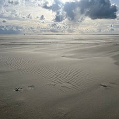 #terschelling #zand #zon #zee #duin #drenkelingenhuisje #amelandergat #ameland #vuurtoren #brandaris #4x4 #drijfzand #strandrijden #barnsteen #vogelskijken #eb #vloed #sterrenkijken #melkweg #zonsopgang #zonsondergang #foto’s #noorderlicht