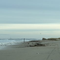 f2440a61-1721-4a29-ba1e-7d147cf47762.jpeg