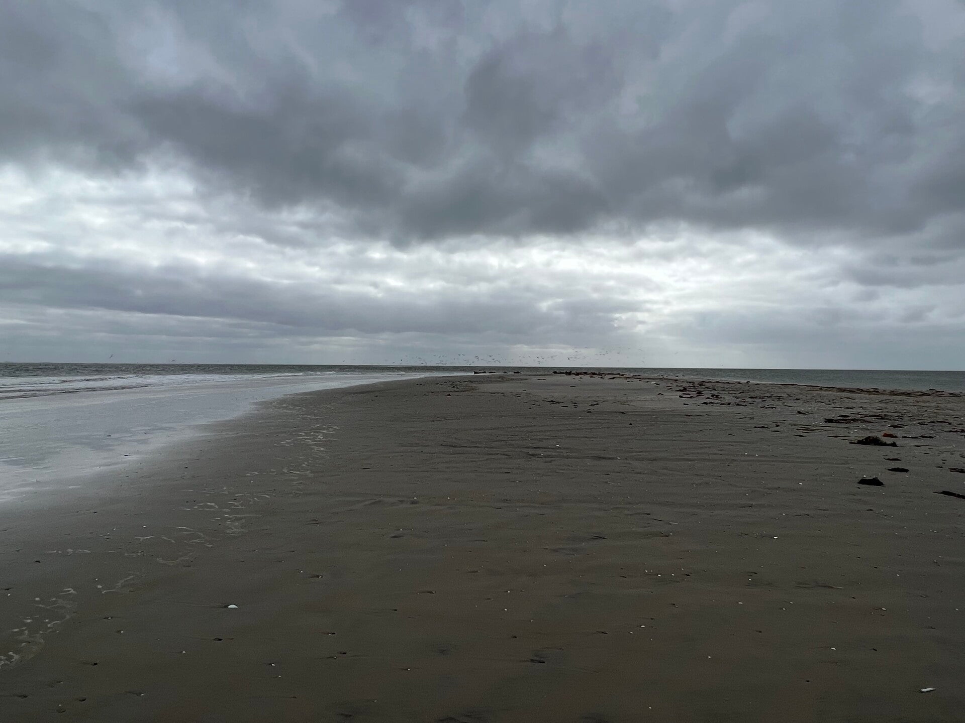 #terschelling #zand #zon #zee #duin #drenkelingenhuisje #amelandergat #ameland #vuurtoren #brandaris #4x4 #drijfzand #strandrijden #barnsteen #vogelskijken #eb #vloed #sterrenkijken #melkweg #zonsopgang #zonsondergang #foto’s #noorderlicht