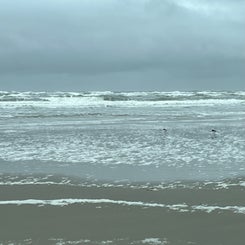 cca10f6a-8279-4a02-b734-ef5a77e337d9.jpeg