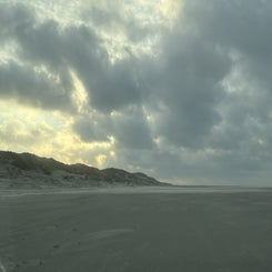 31756b3e-e6ca-4088-9531-1c3ea07cecb3.jpeg
