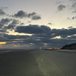 79f78062-e041-4809-9bc9-a7fa2551ca53.jpeg
