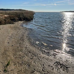 #terschelling #zand #zon #zee #duin #drenkelingenhuisje #amelandergat #ameland #vuurtoren #brandaris #4x4 #drijfzand #strandrijden #barnsteen #vogelskijken #eb #vloed #sterrenkijken #melkweg #zonsopgang #zonsondergang #foto’s #noorderlicht #aurora #vliela