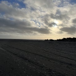 1b0f141c-d319-4b2a-a7b8-c7c7170d230d.jpeg