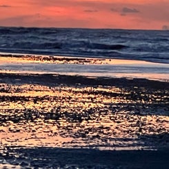 #terschelling #zand #zon #zee #duin #drenkelingenhuisje #amelandergat #ameland #vuurtoren #brandaris #4x4 #drijfzand #strandrijden #barnsteen #vogelskijken #eb #vloed #sterrenkijken #melkweg #zonsopgang #zonsondergang #foto’s #noorderlicht