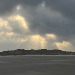 f74e115a-f5fa-4b06-a537-06092227b19b.jpeg