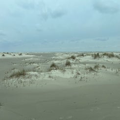 #terschelling #zand #zon #zee #duin #drenkelingenhuisje #amelandergat #ameland #vuurtoren #brandaris #4x4 #drijfzand #strandrijden #barnsteen #vogelskijken #eb #vloed #sterrenkijken #melkweg #zonsopgang #zonsondergang #foto’s #noorderlicht #aurora