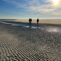 #terschelling #zand #zon #zee #duin #drenkelingenhuisje #amelandergat #ameland #vuurtoren #brandaris #4x4 #drijfzand #strandrijden #barnsteen #vogelskijken #eb #vloed #sterrenkijken #melkweg #zonsopgang #zonsondergang #foto’s #noorderlicht #aurora #vliela