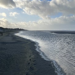 0305ed70-8e56-4f39-85b7-cf8fe4d29ff0.jpeg