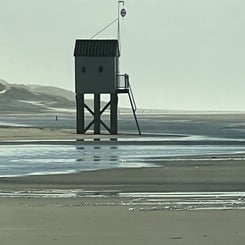 38269618-3e80-417b-bbd3-07c7b2c322fd.jpeg