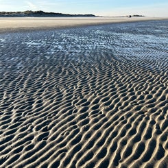 #terschelling #zand #zon #zee #duin #drenkelingenhuisje #amelandergat #ameland #vuurtoren #brandaris #4x4 #drijfzand #strandrijden #barnsteen #vogelskijken #eb #vloed #sterrenkijken #melkweg #zonsopgang #zonsondergang #foto’s #noorderlicht #aurora #vliela