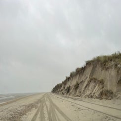 img_1739.jpeg