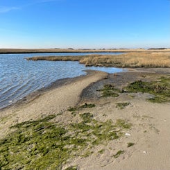 #terschelling #zand #zon #zee #duin #drenkelingenhuisje #amelandergat #ameland #vuurtoren #brandaris #4x4 #drijfzand #strandrijden #barnsteen #vogelskijken #eb #vloed #sterrenkijken #melkweg #zonsopgang #zonsondergang #foto’s #noorderlicht #aurora #vliela