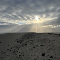 img_3542.jpg