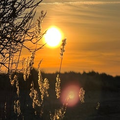6b415ced-7d9a-4188-ab02-33257abc27b7.jpeg