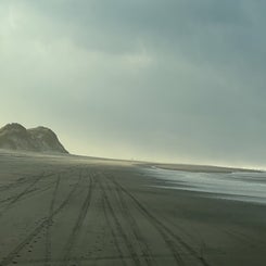 6f387205-b524-4f1f-9c2a-af0b12a4e598.jpeg