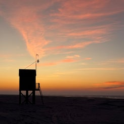 #ameland, #amelandergat, #zeehonden, #pieterburen, #vlieland,#terschelling  #rederijdoeksen, #bedandbreakfastterschelling,#bedandrelaxterschelling, #volkswagen #amarok, #terreinrijden, #strandrijden, #strandrijdenterschelling, #brandaris, #ervaarterschell